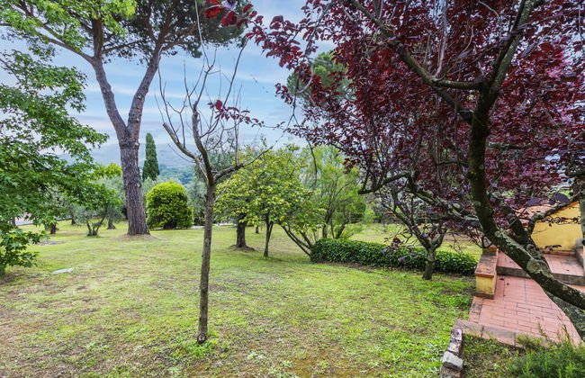 Tenuta San Lazzaro - Foto 71