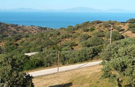 Panoramic View Kea - Foto 10