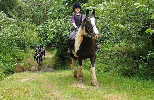 Two Bedroom Lodge In The Country - Restaurant Bar Onsite - Foto 31