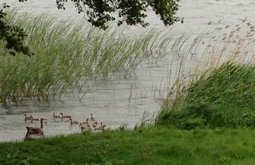 Röblinseeterrassen - Foto 64