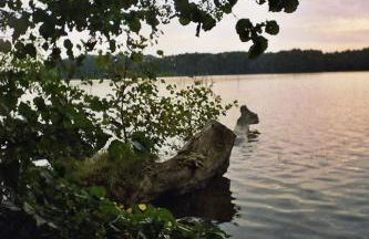 Ferienwohnung Siebmann - Foto 33