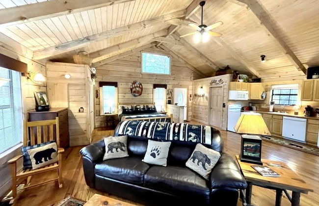 Perfectly private! Hot tub, king sized bed, grill, washer/dryer, and motorcycle friendly! Studio Cabin by RedAwning - Foto 7