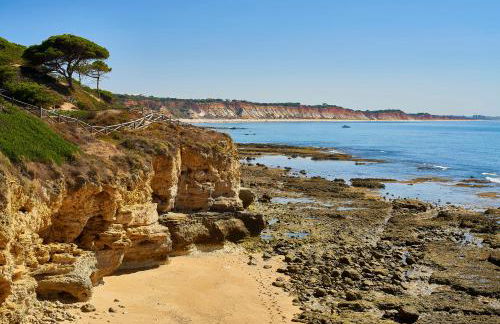 Oceanus Aparthotel - Foto 113