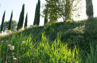 Agriturismo Poggio Corbello - Foto 96