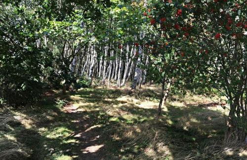 heckohus Comfortable holiday residence - Foto 18