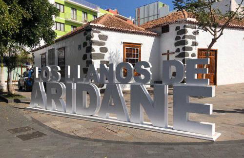 Flying La Palma - Sostenible - Foto 40