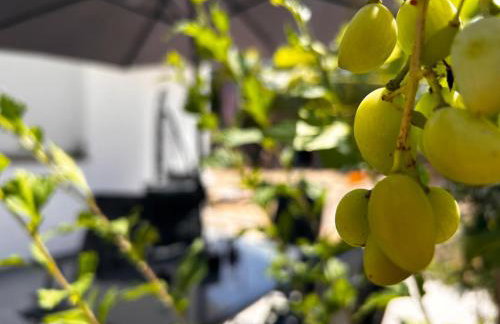 Apartment Vidoni - Photo 34