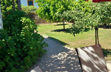 O Ninho do Rei - Foto 14