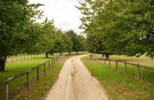 Family Cotswolds Cottage Farm Stay - The Smythy - Foto 80