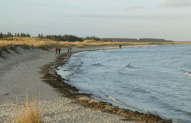 6 Person Holiday Home in Hals - Foto 34