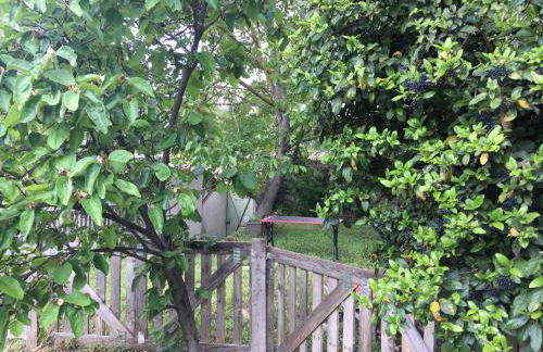 La cabane Romantique et sa balneotherapie - Foto 40