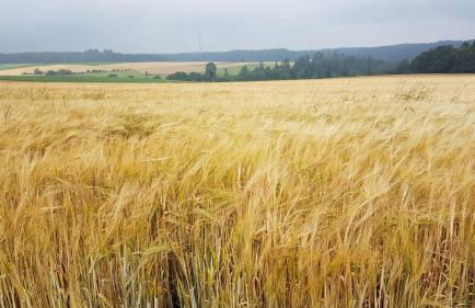 Ferienwohnung Friedrich - Photo 37