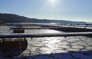 Wald- und Seeblick Camp Zislow - Foto 15