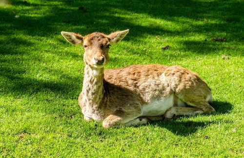 Il Rifugio del Cuore - Foto 37