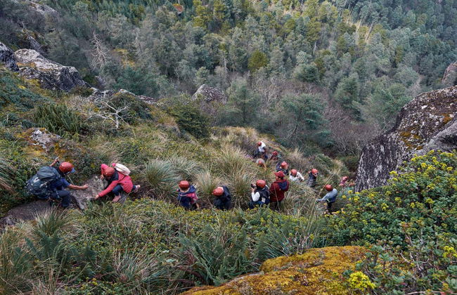 Peña del Rey Hiking Tour - Photo 3