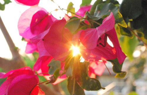 Arillas Studios - Foto 29