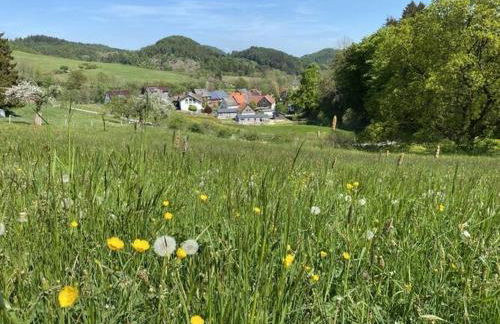 Holiday Home in Willingen-neerdar - Foto 41