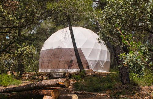 La Muntanera - Eco-friendly apartment - Foto 24