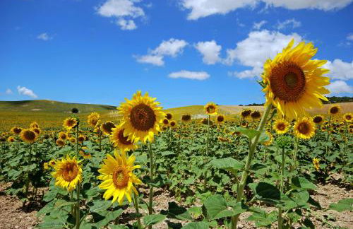 Casita de la Suerte - Foto 31