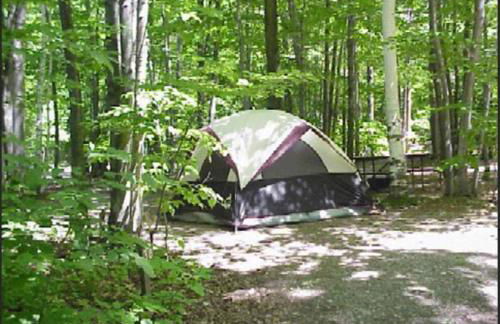 Primitive Camp Sites - Foto 1