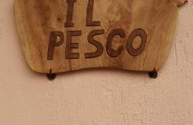 Il Pesco - CIR 0024 - Foto 10