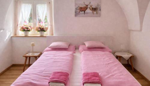 La Busa dai Zervi - Foto 3