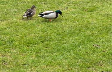 8 berth Waterside Ingoldmells Santanavan 8 C22 - Foto 57