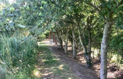 The Retreat, Clematis cottages, Stamford - Foto 42