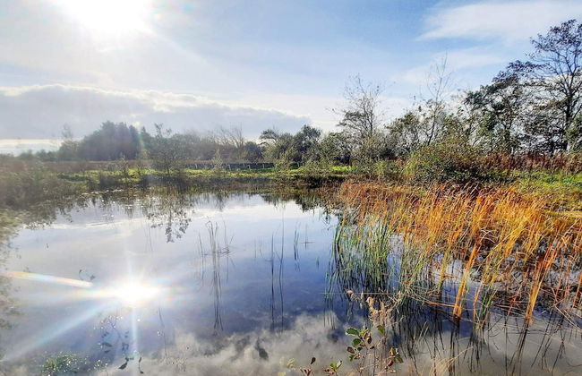 8 Person Holiday Home in Ulfborg - Foto 22