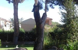 La Casita del Guarda - Photo 8