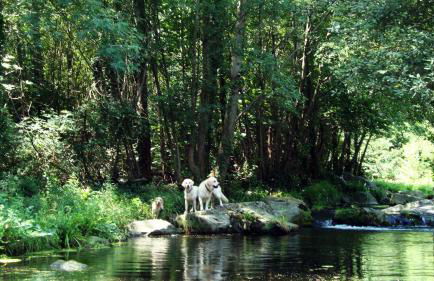 Mas Els Terrats - Foto 133