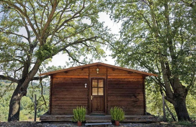 Il Daino Bianco Country Hotel - Foto 15