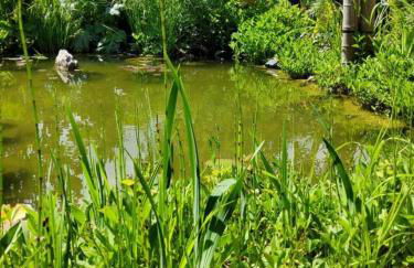 Gîte Gîtes de France® - Le Petit Marin - Foto 39