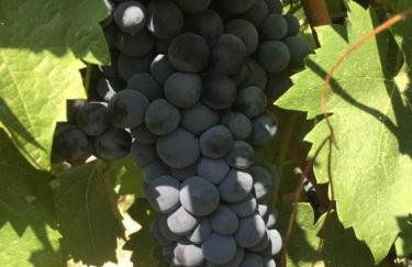 Studio Giannis, a breath away from Athens! - Foto 30