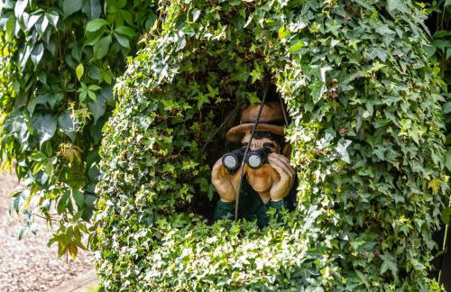 Fewo Mama Mia - Foto 25