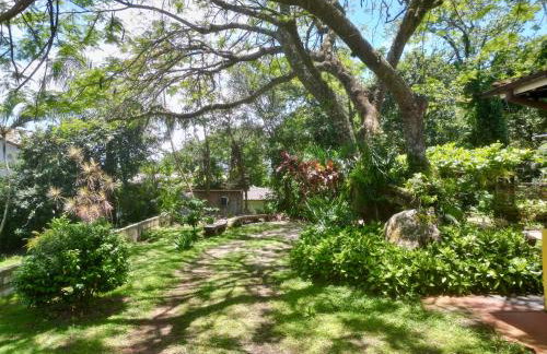 Krone Garten - Foto 27