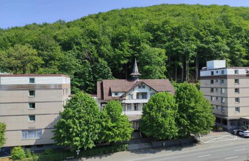 Ferienwohnung HarzHome - Foto 5