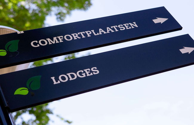 Cozy Tiny House With a Nice Terrace Near Eindhoven - Foto 18