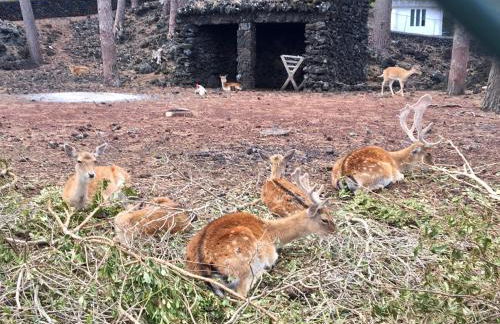 Casa do Almance - Photo 45