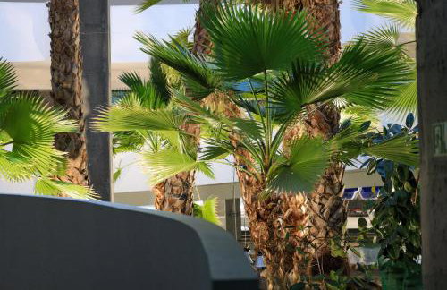 Apartament Komandorski przy Aquaparku - Foto 72