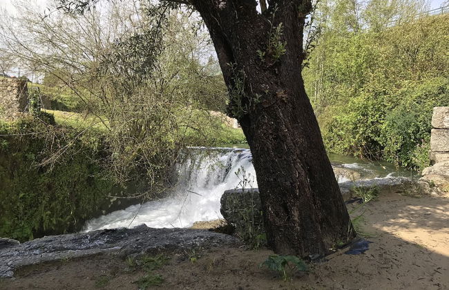 Casa de Riba'Dão - Arcos de Valdevez - Foto 19