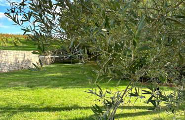 Domaine Coeur des Vignes - Foto 68