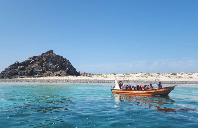Excursion sur l'île de Damas - Photo 7