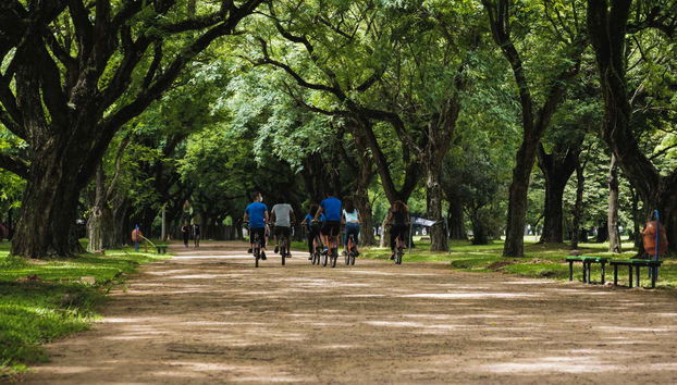 Contemplando as vistas