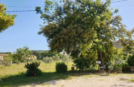 L'Oliveraie - Foto 12