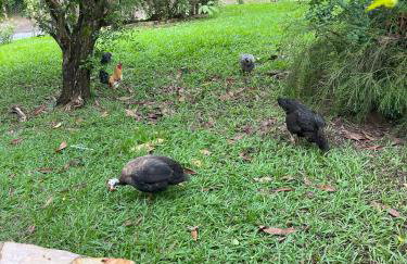 Casa em condominio a 40km de Belo Horizonte - Foto 19