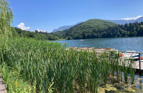 Ferienwohnungen im Alpengästehaus Marzoll - Bad Reichenhall, Adults only, keine Haustiere - Photo 17