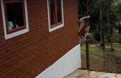 Recanto do Leão - Foto 15