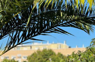 Apartamentos Olga Cantabria 2 - Foto 56