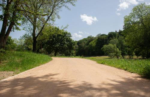 Casa do Carvalhal - natureza no centro da cidade - Foto 28